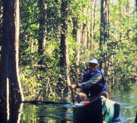 Canoeing at Okefenokee NWR