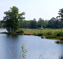 Lake at Panola Mountain State Park