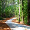 Hiking trail at Panola Mountain State Park