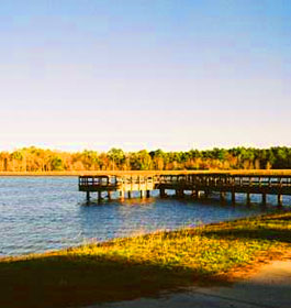 Paradise Public Fishing Area