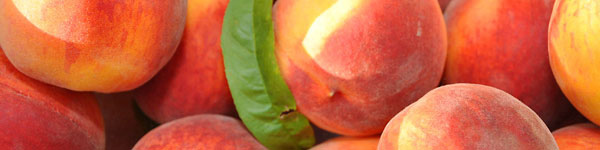 10 Things You Probably Didn't Know About Georgia Peaches, Official Georgia  Tourism & Travel Website