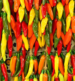 Colorful spicy peppers