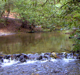 River with small waterfall 