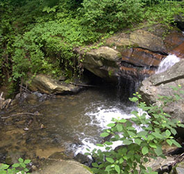 River and small waterfall in GA forest