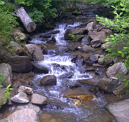 Rocky GA river