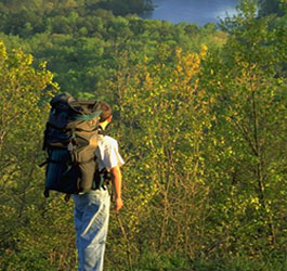 Hiking at F. D. Roosevelt State Park