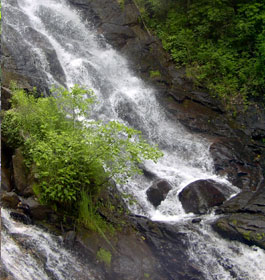 Rushing GA River Water