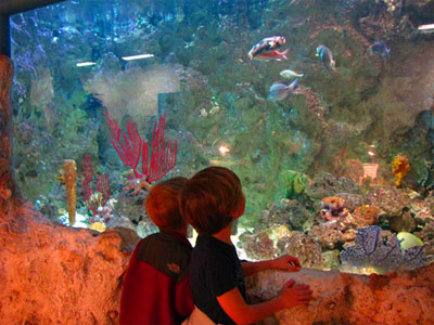 Sandy Creek Nature Center Aquarium