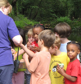 Sandy Creek Nature Center outdoor class for children