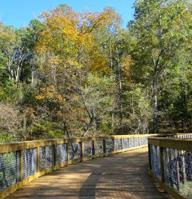 Boardwalk at Sandy Creek nature Center