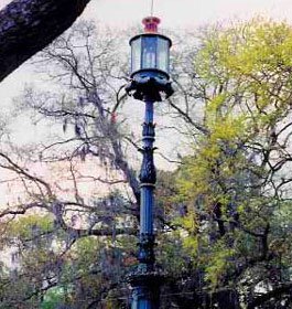 Holiday lights in Savannah's Emmet Park
