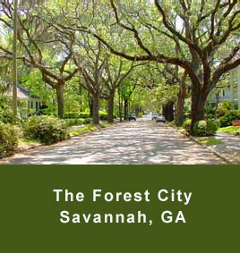 The Forest City in Savannah GA
