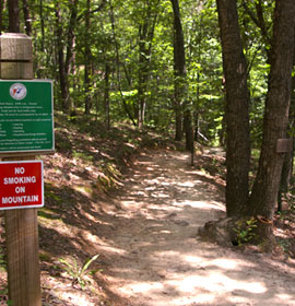Sawnee Mountain Preserve Hiking Trail