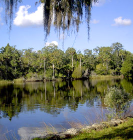 Lake Seminole