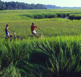 Biking at Skidaway Island