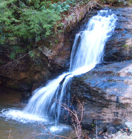 Waterfall in GA forest