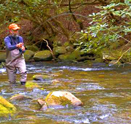 Fishing at Smithgall Woods