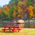 Picnic at Sprewell Bluff Recreation Area