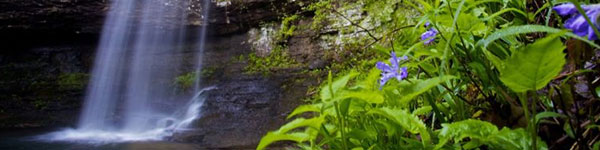 Waterfall at Cloudland Canyon State Park