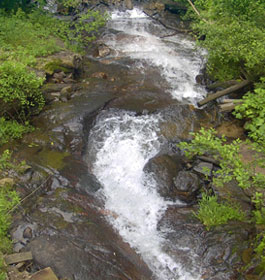 Rushing stream in GA