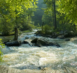 Rushing water at Sweetwater Creek State Park