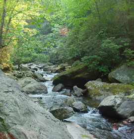 Rocky Tallulah River