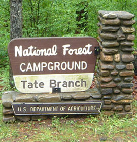 Tate Branch Campground Sign in GA forest