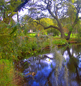 Tybee NWR