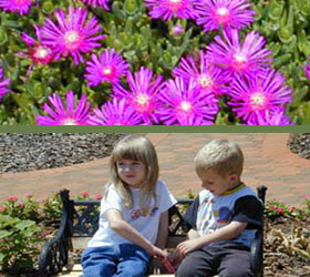 UGA Research Garden