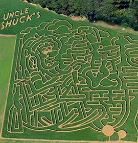Uncle Shuck's Corn Maze