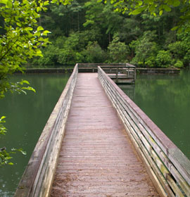 ADA dock at Unicoi State Park