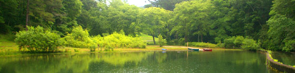 Lake at Unicoi State Park