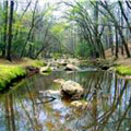 Rice Creek at Victoria Bryant State Park