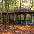Picnic Shelter at Vogel State Park