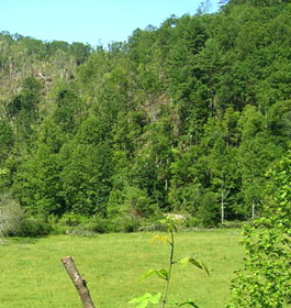 Mountains at Wildcat Creek Campground