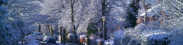 Neighborhood winter scene
